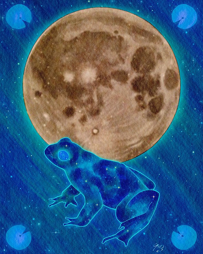 treize lunes 4 grenouille