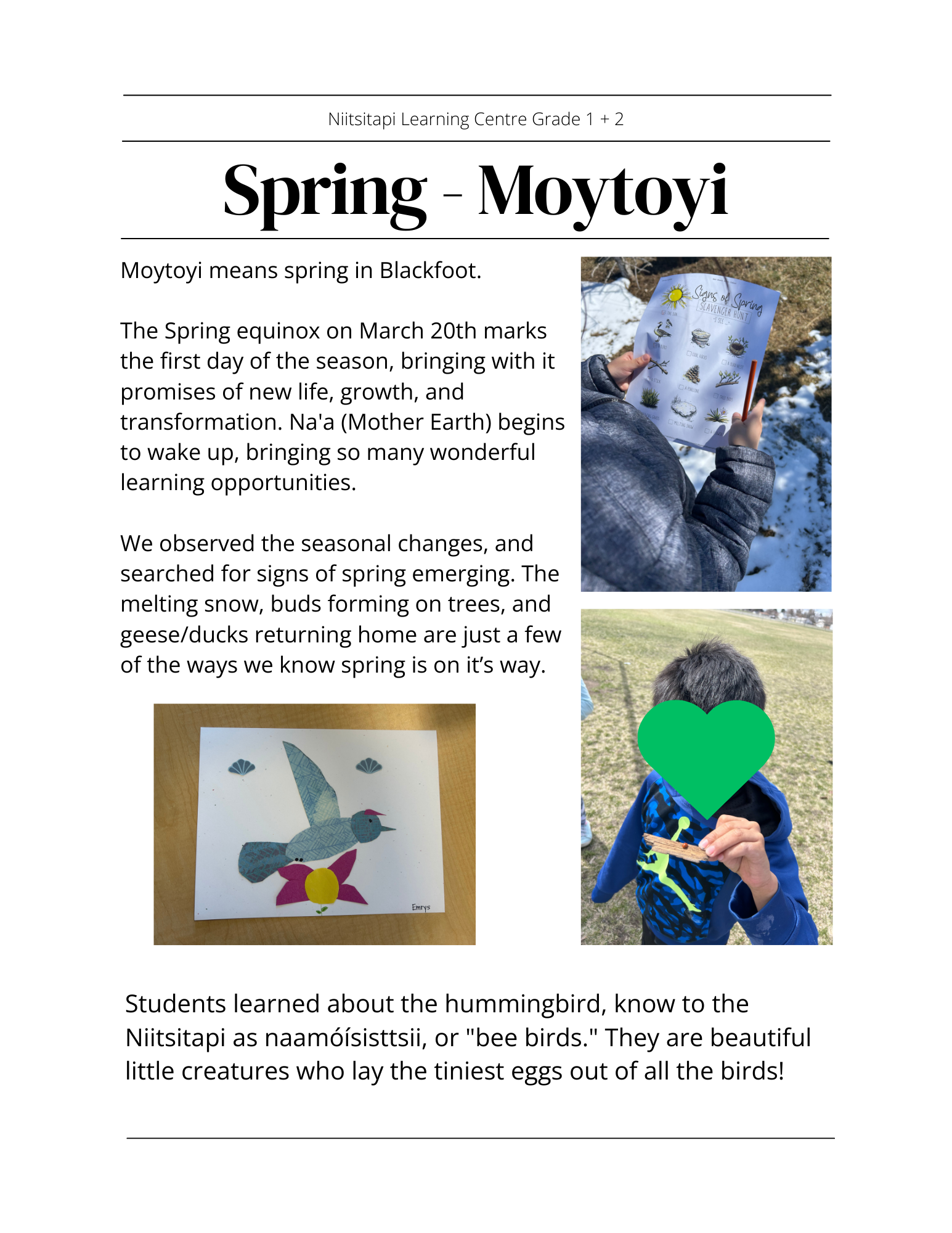 Spring Grade Update 1