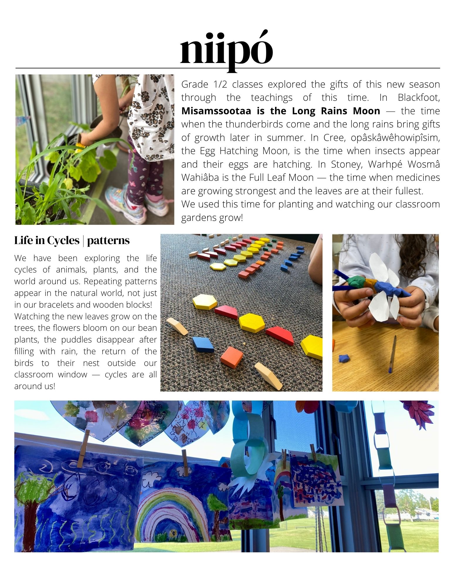 June 2026 Learning Update Grade 1 & 2