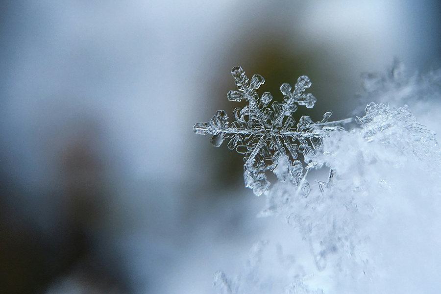 Snowflake, Ice, Winter, Snow