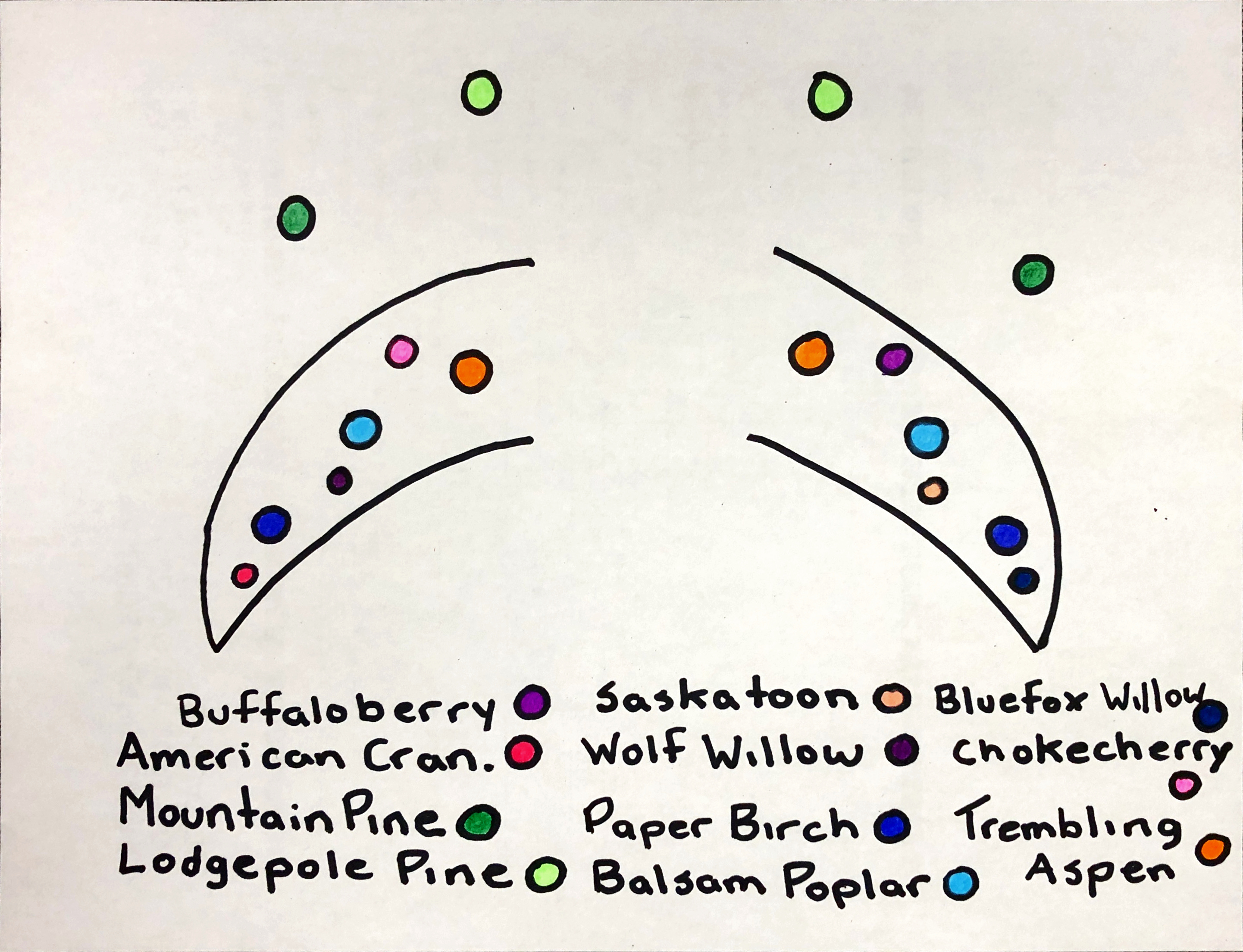 Eagle Garden - Niitsitapi Learning Centre