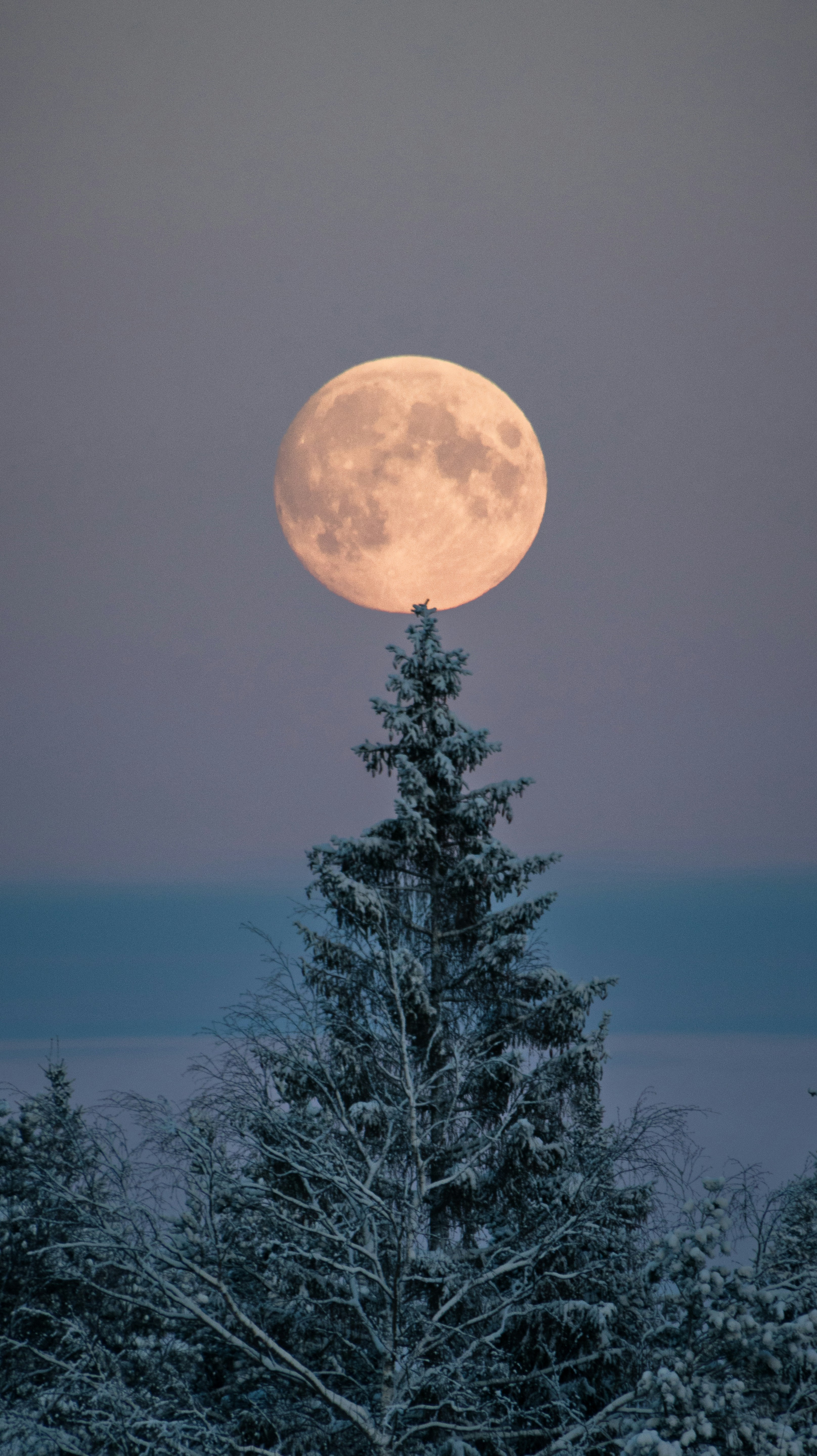 juho luomala 0KPy Sdontc0 unsplash