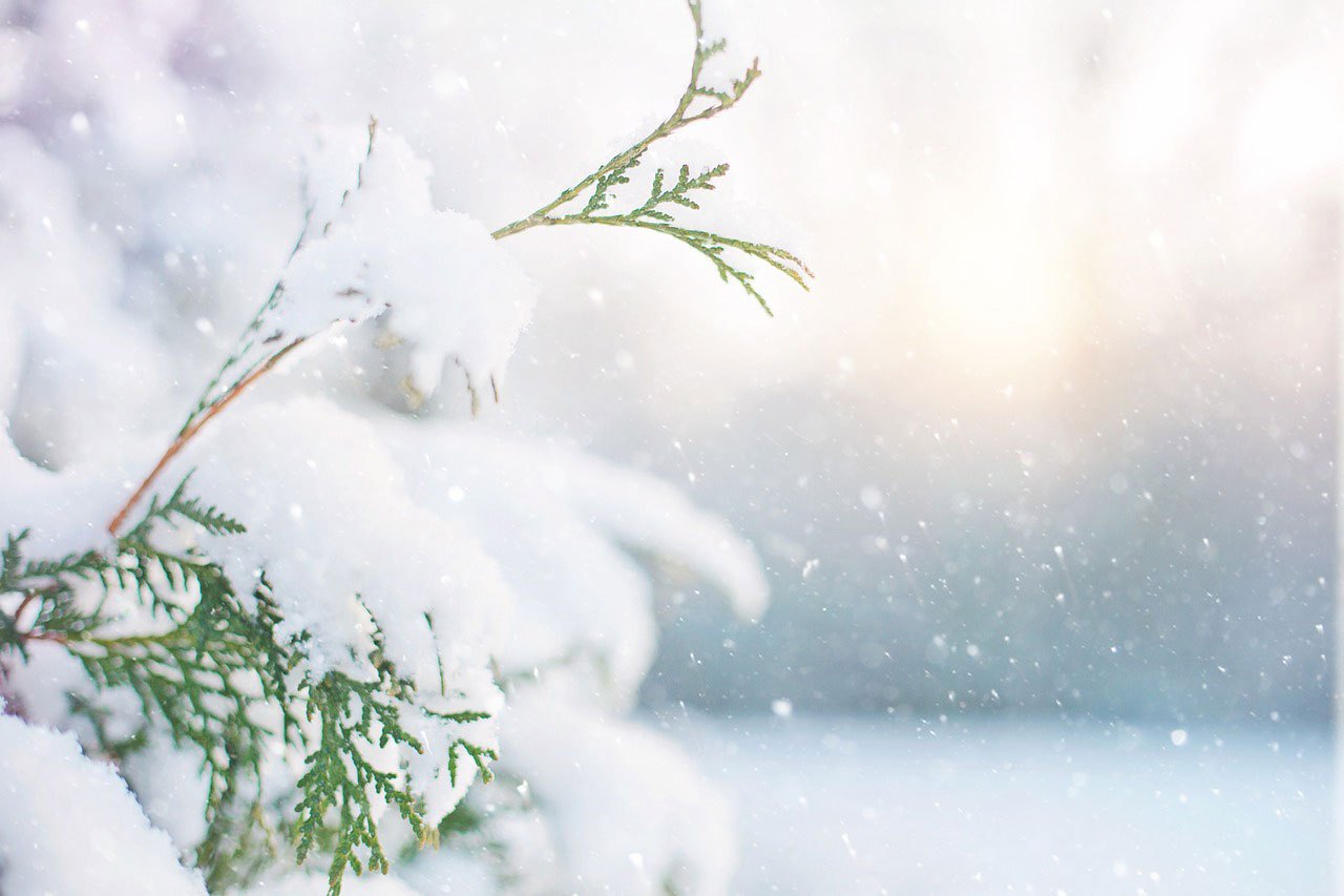 Niitsitapi News January 12-16 - Niitsitapi Learning Centre